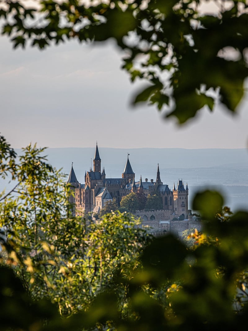 Stone Castle Backdrop