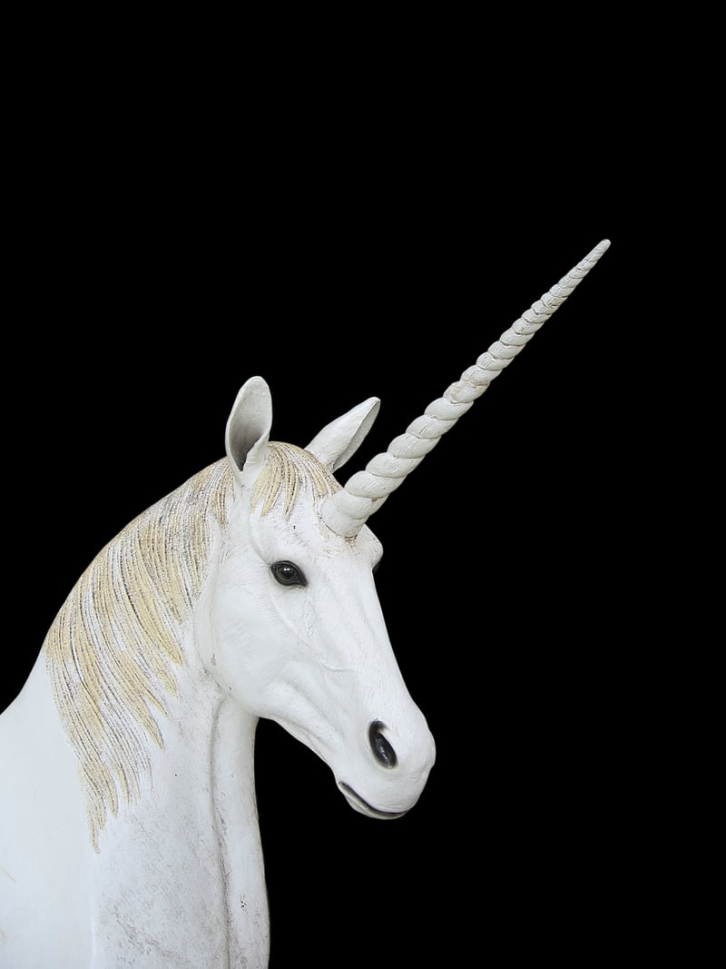 Unicorn Rainbow Delights