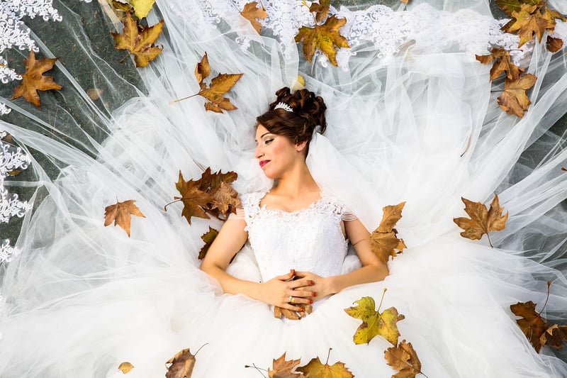 Bride's Wedding Dress
